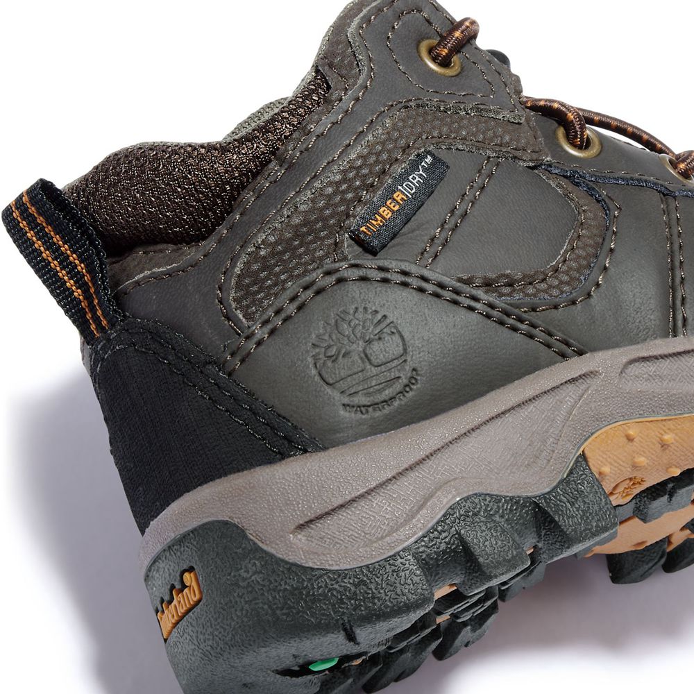 Bocanci De Drumeție Timberland Copii Maro - Toddler Mt. Maddsen Waterproof - Romania - MNBTUZ376